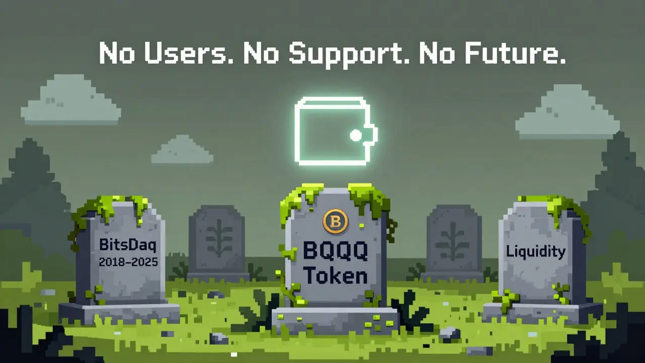 Digital graveyard with tombstones for Bitsdaq and BQQQ, a lone wallet holding the token.